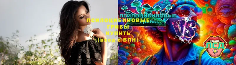 Псилоцибиновые грибы GOLDEN TEACHER  Баймак 